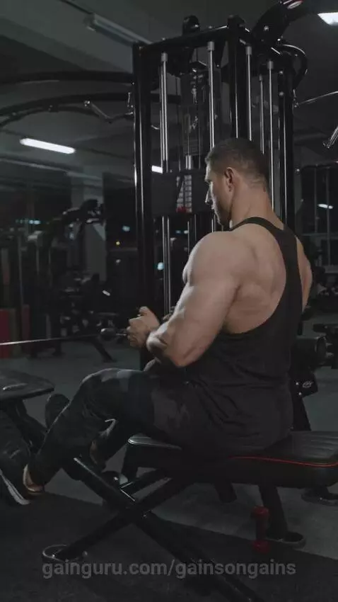 gainsongains post preview
