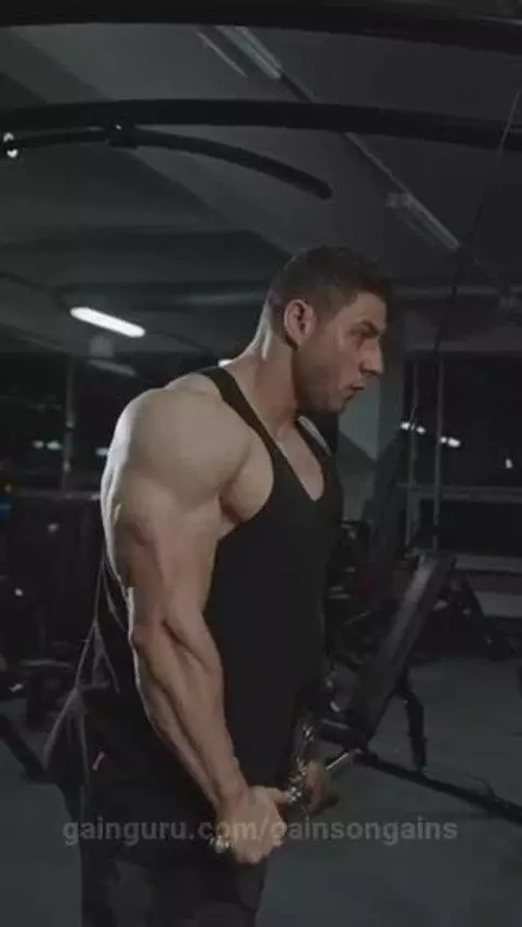 gainsongains