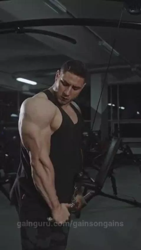 gainsongains post preview