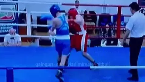 vladimirvalevpitbull