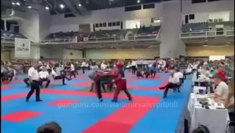 vladimirvalevpitbull post preview