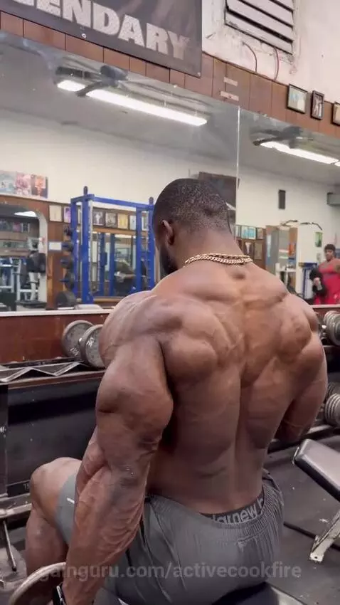 Train like a pro Not just heavy! Hammer curls hit different ... by activecookfire